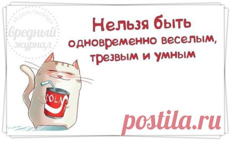 Шуточки для хорошего настроения! | Домашняя аптечка