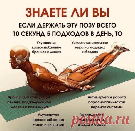 Фото 1000697151488 из альбома Разное. Смотрите в группе Наше здоровье в наших руках! в ОК