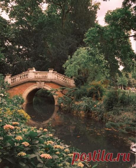 Secret garden vibes 🍄🦆