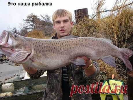 вот это я понимаю...