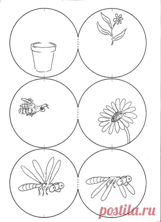 тауматроп шаблоны: 7 тыс изображений найдено в Яндекс.Картинках