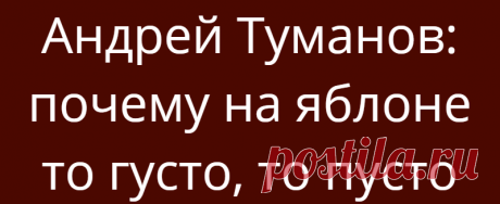 Андрей Туманов: почему на яблоне то густо, то пусто
Многие дачники обвиняют яблоню в периодичности плодоношения. На самом деле немалая часть...
Читай дальше на сайте. Жми подробнее ➡
