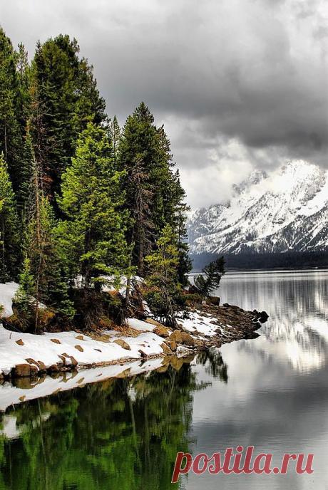 легенда о дереве