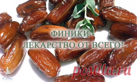 20 ФАКТОВ О ФИНИКАХ.