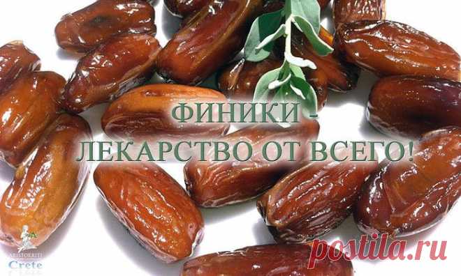 20 ФАКТОВ О ФИНИКАХ.