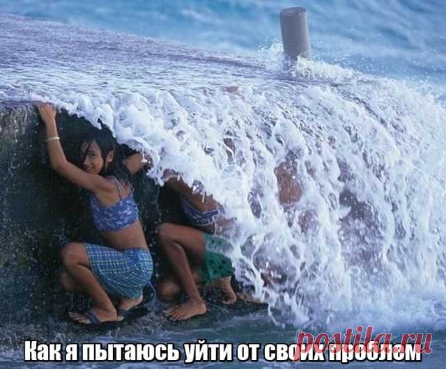 Подборка картинок (31 фото) . Тут забавно !!!