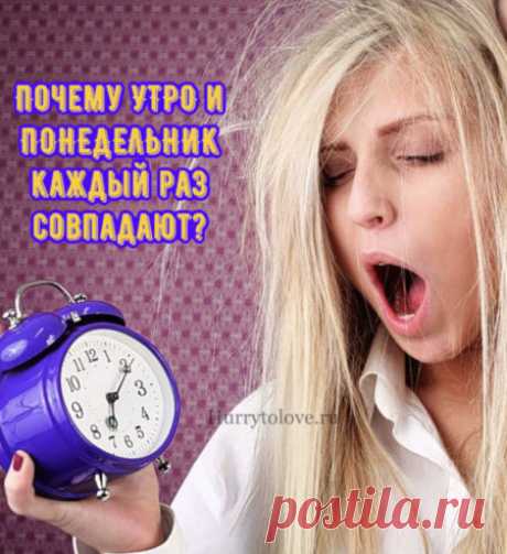 Картинки про утро понедельника: прикольные и красивые открытки с надписями на понедельник