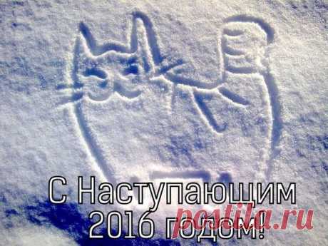 Новости