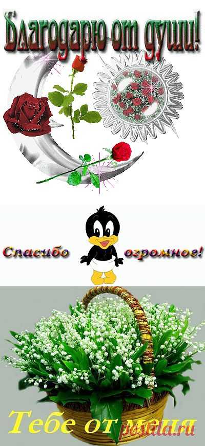 Блоги@Mail.Ru: (без названия)