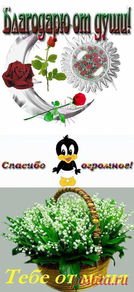 Блоги@Mail.Ru: (без названия)