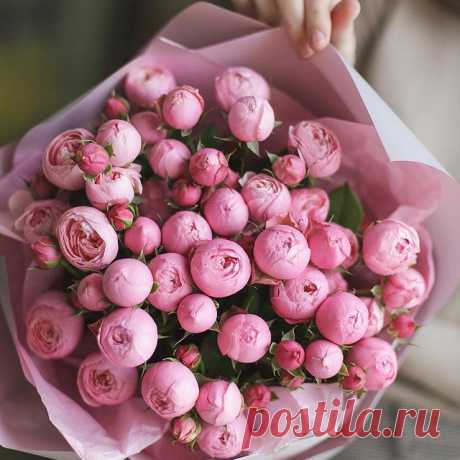 Photo by KIOSQUE Flowers on November 02, 2021. May be an image of prairie gentian and rose.
