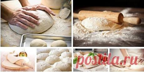 36 кулинарных секретов, которые помогут сделать идеальное тесто! 

1. Всегда добавляйте в тесто разведенный картофельный крахмал – булки и пироги будут пышными и мягкими даже на следующий день. 
Главное условие вкусных пирогов — пышное, хорошо взошедшее тесто: муку для теста необходимо просеять: из нее удаляются посторонние примеси, и она обогащается кислородом воздуха 
Показать полностью…