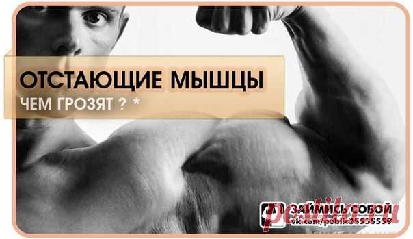 Чем тебе грозят отстающие мышцы / Абсолютное здоровье