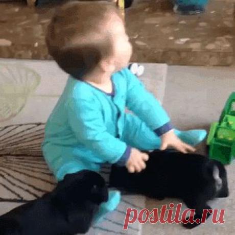 Живые фотографии – Живые фотографии – Сообщество – Google+