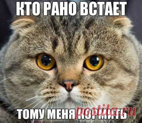 Мой Мир@Mail.Ru