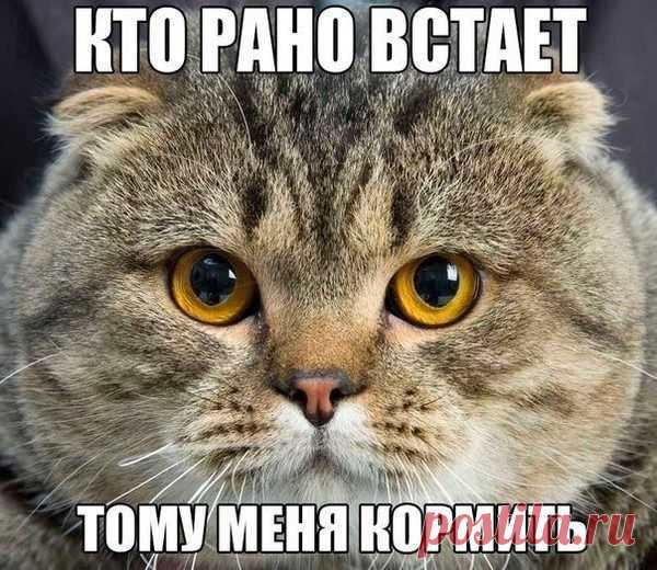 Мой Мир@Mail.Ru