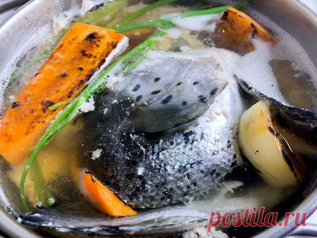 Рыбный бульон: распространённые ошибки и правильная технология | Кухня Технолога Пульс Mail.ru