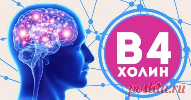 Продукты, в которых содержится цинк / Будьте здоровы