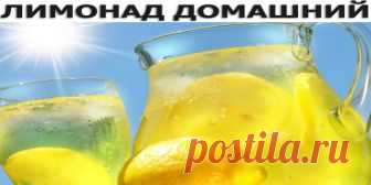 ЛИМОНАД ДОМАШНИЙ — полезнее, чем покупные! Дешево и вкусно! Ингредиенты: ● Лимоны — 3 шт. ● Мята — 5 веточек ● Мед — 2 ст. л. ● Сахарный песок — 150 г ● Вода — 3 л Приготовление: 1. Подготовить ингредиенты. 2. Кастрюлю с