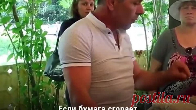 Я в шоке! Я реально не знал как отличить поддельный мед от настоящего