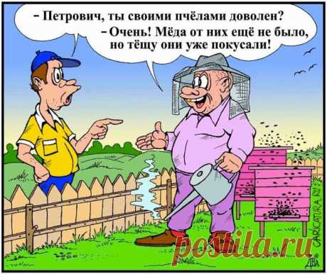 Анекдоты про дачников - Садоводка