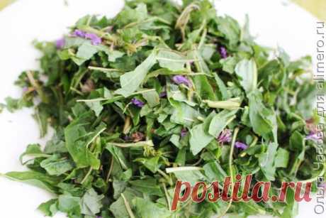 👌 Заготовка на зиму: копорский чай ферментация в банке, рецепты с фото