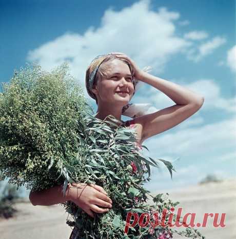 Опубликованы редкие фотографии настоящей жизни в СССР: подними настроение! (10 фото) | Канал Совести | Яндекс Дзен