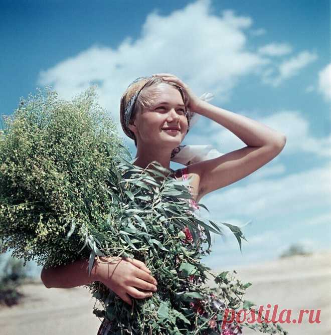 Опубликованы редкие фотографии настоящей жизни в СССР: подними настроение! (10 фото) | Канал Совести | Яндекс Дзен