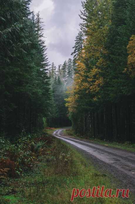 +Chobbit Hobbit's Nature Corner+ — millivedder: Olympic National Park, Washington