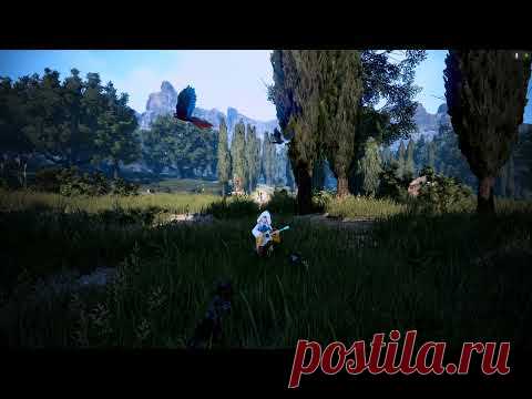 BDO