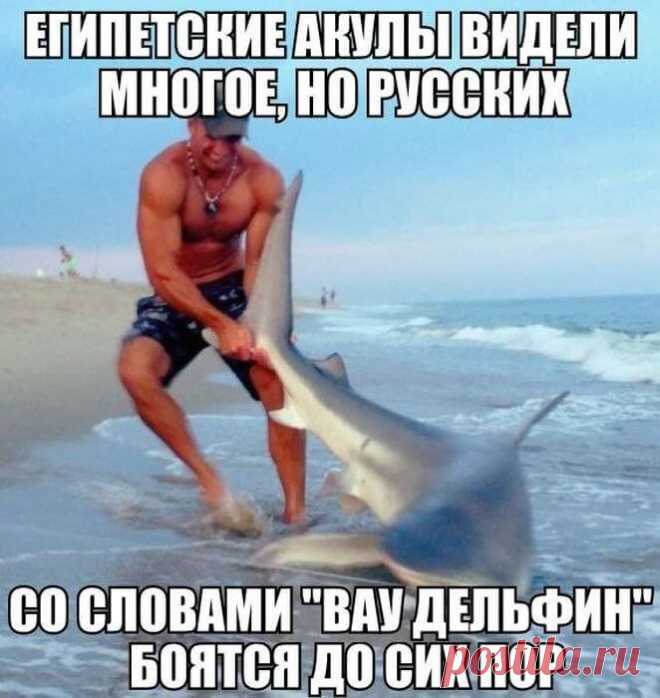 Свежие смешные анекдоты до слез | Корки.lol