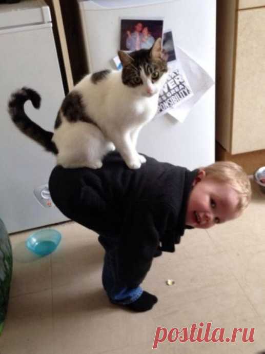 С каждым днём эти пушистые чудики удивляют нас всё больше!