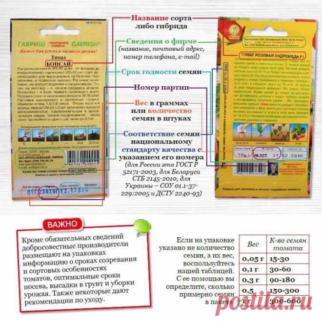 (79) Одноклассники