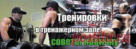 Программа тренировок для новичков | Sport My Way | Sport - My Way