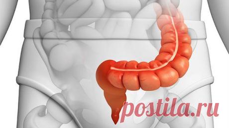 Сигмоидит: причины, симптомы и лечение в статье проктолога Оганян А. С.