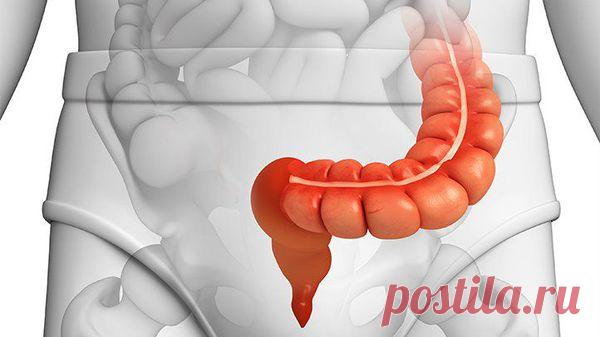 Сигмоидит: причины, симптомы и лечение в статье проктолога Оганян А. С.