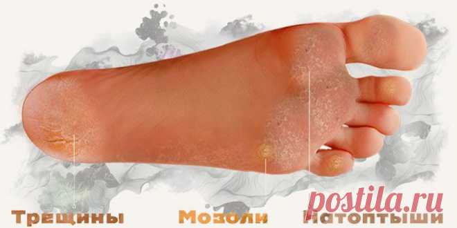 Блог Галины Савиной. Это чудо! Нежнейшая кожа без особых усилий!