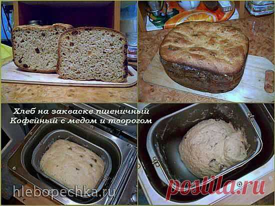 Пшеничный хлеб с творогом, медом и немного кофе - ХЛЕБОПЕЧКА.РУ - рецепты, отзывы, инструкции