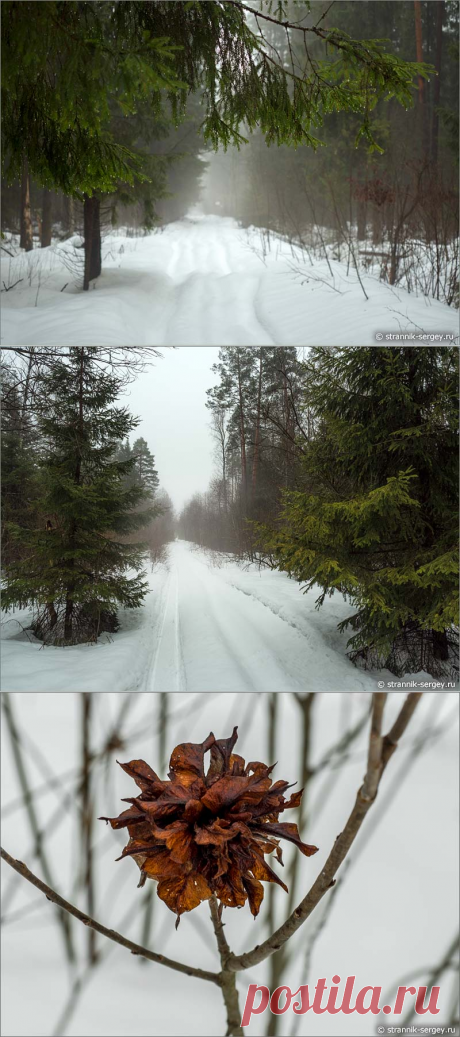 Весенние гобелены...