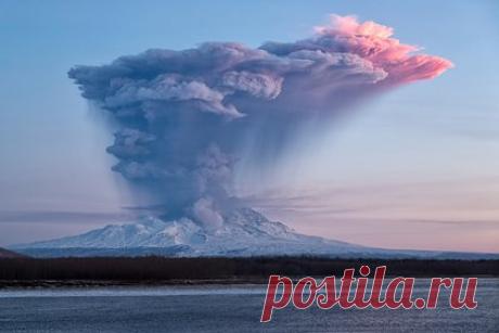 На Камчатке вблизи вулкана произошло 15 землетрясений за день. Вблизи вулкана Шивелуч на востоке Камчатки за день было зафиксировано 15 подземных толчков. Землетрясения происходили на расстоянии от 80 до 90 километров от поселка Усть-Камчатск. Максимальная магнитуда составила 4,2. При этом последний толчок зарегистрировали в 16:41 по местному времени (07:41 мск).