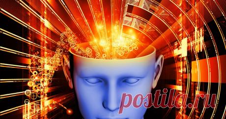 Тут помню, а тут не помню: как убедить себя в чём угодно и забыть лишнее Можем ли мы полагаться на собственную память? Насколько легко человеку внушить ложное воспоминание, например, что в детстве над ним надругался отец? Почему некоторые вещи так трудно вспомнить и что будет, если вы потеряете способность забывать?