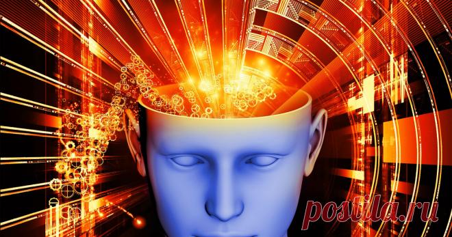 Тут помню, а тут не помню: как убедить себя в чём угодно и забыть лишнее Можем ли мы полагаться на собственную память? Насколько легко человеку внушить ложное воспоминание, например, что в детстве над ним надругался отец? Почему некоторые вещи так трудно вспомнить и что будет, если вы потеряете способность забывать?