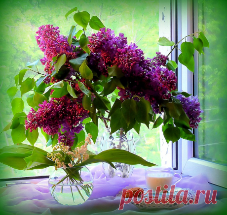 0_c01c9_1385a4db_XL.jpg (800×760)