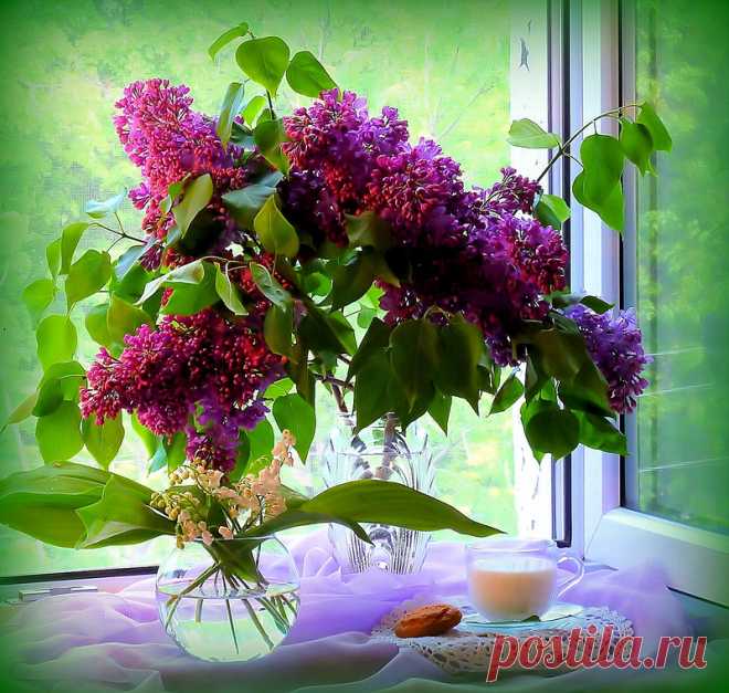 0_c01c9_1385a4db_XL.jpg (800×760)