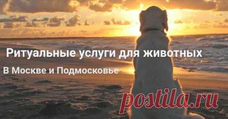Вывоз мертвых животных в Москве