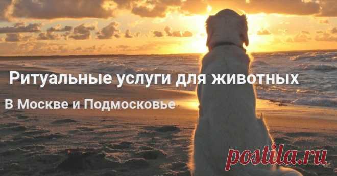 Вывоз мертвых животных в Москве