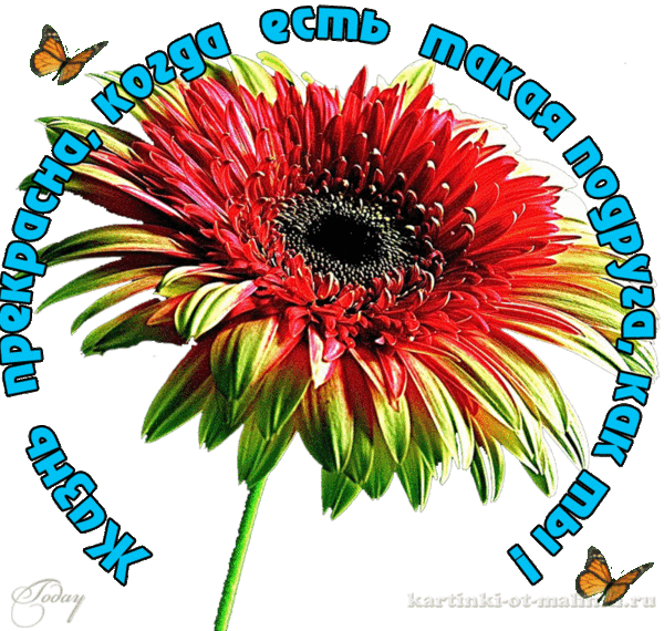 Мой Мир@Mail.Ru