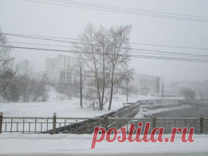 Как приобрести продукцию компании NSP со скидкой | NSP - Продукты Солнца