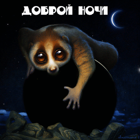 ВСЕ ДЛЯ ДУШИ – Google+