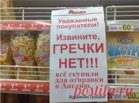 Про скрипальского котэ